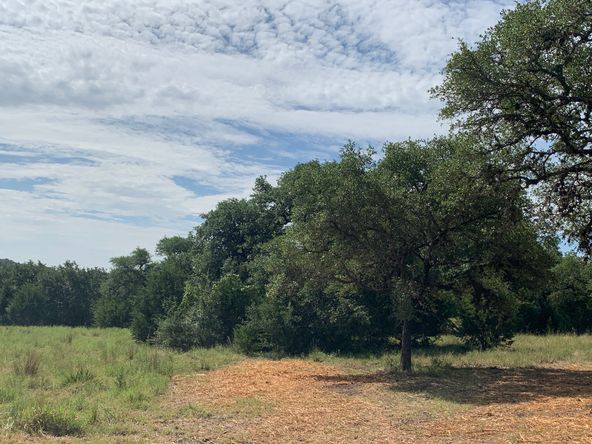 part of edmond ranch: 000 FM 32, Blanco, TX 78606